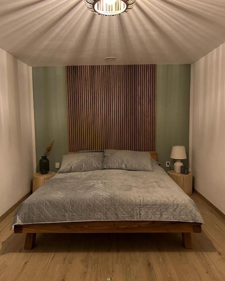 Vila Dvorecna Villa Loučovice Esterno foto