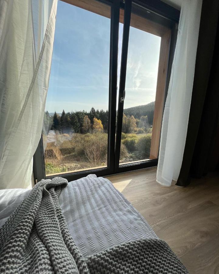 Vila Dvorecna Villa Loučovice Esterno foto