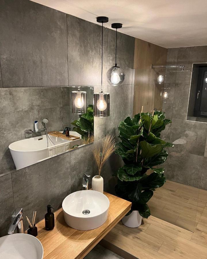 Vila Dvorecna Villa Loučovice Esterno foto