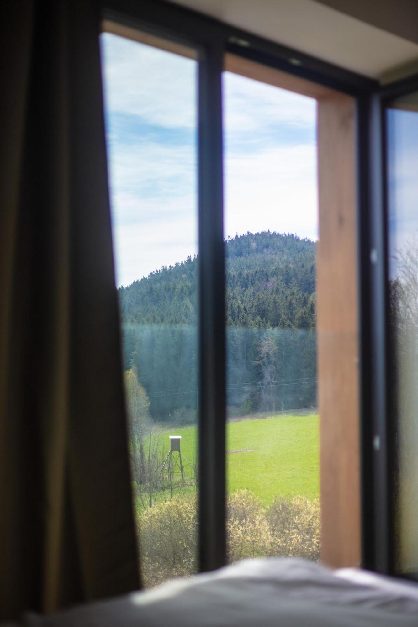 Vila Dvorecna Villa Loučovice Esterno foto