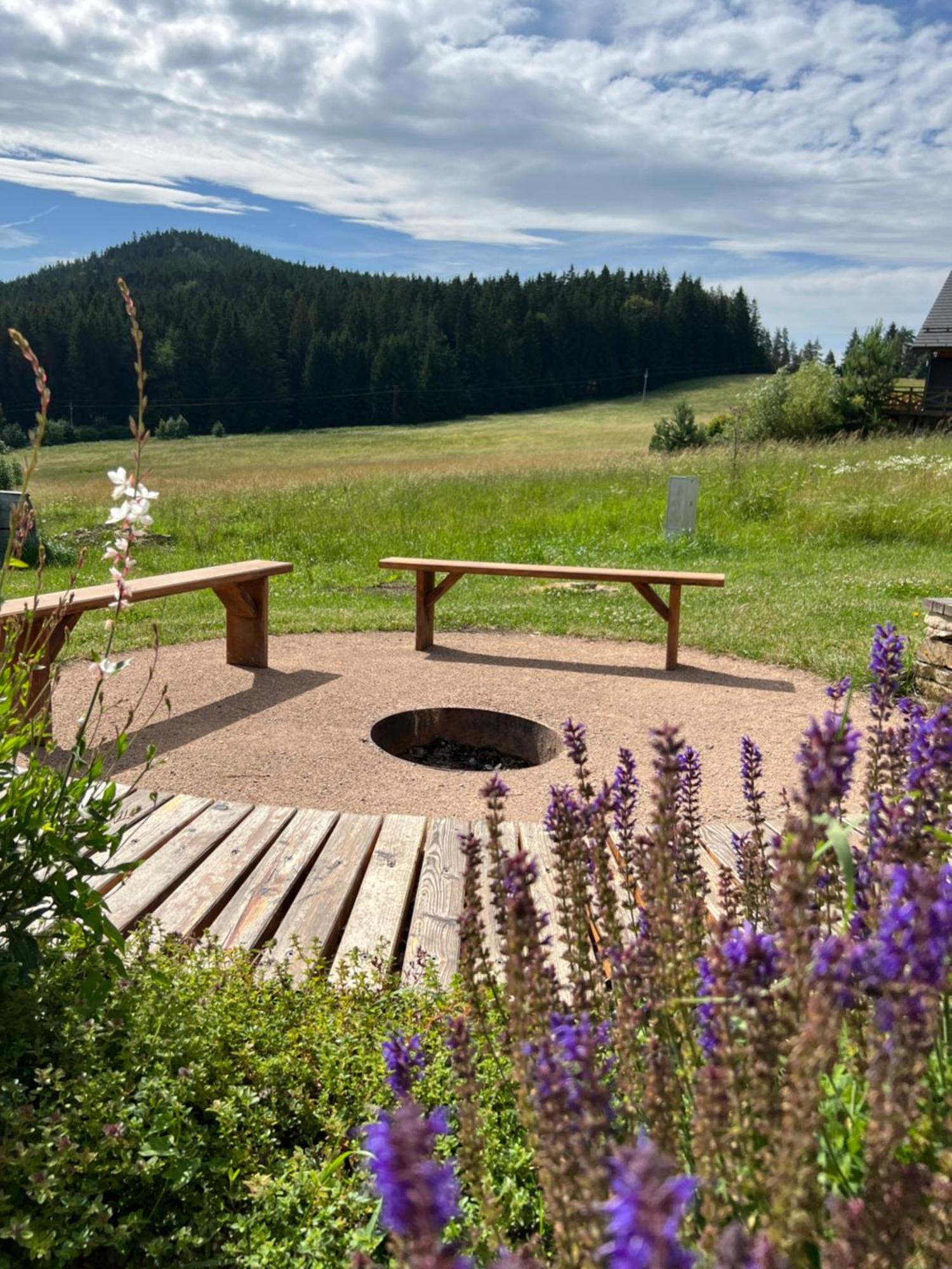 Vila Dvorecna Villa Loučovice Esterno foto