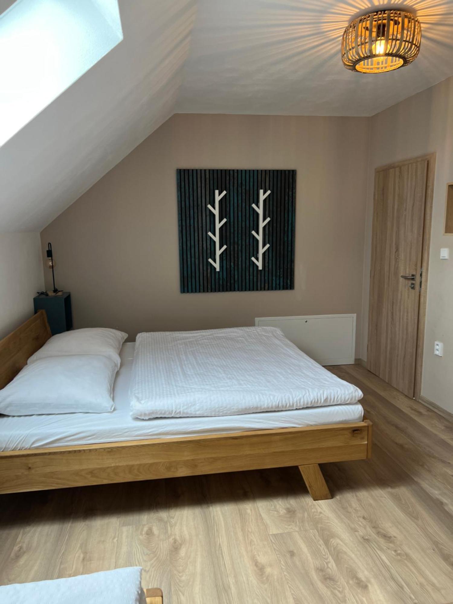 Vila Dvorecna Villa Loučovice Esterno foto