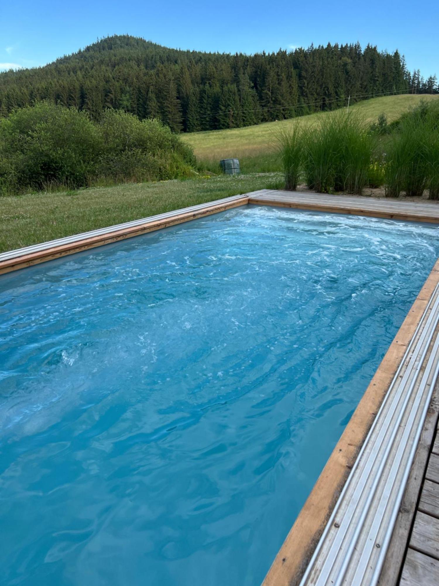 Vila Dvorecna Villa Loučovice Esterno foto